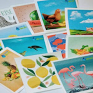 The Swedish Dishcloth